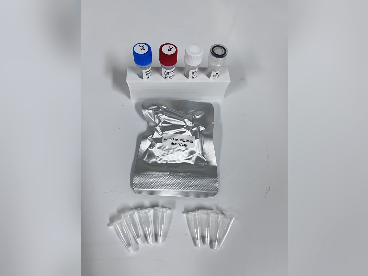 A lyophilised qPCR kit for aquaculture pathogens. The reagent is dried in the tube and rehydrated with the sam