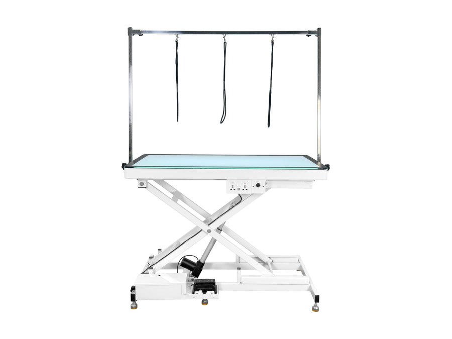 Electric grooming table with illuminated tabletop