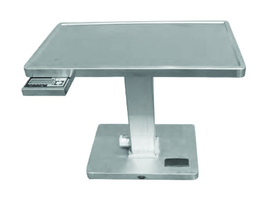 Pet diagnosis table with scale