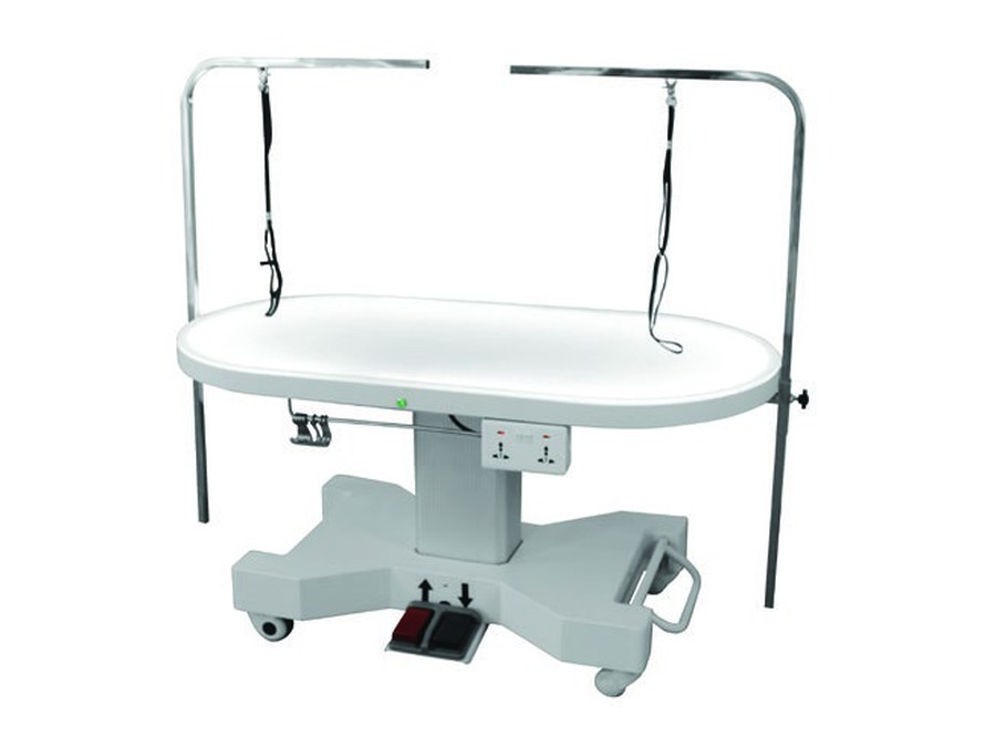 Electric grooming table, oval