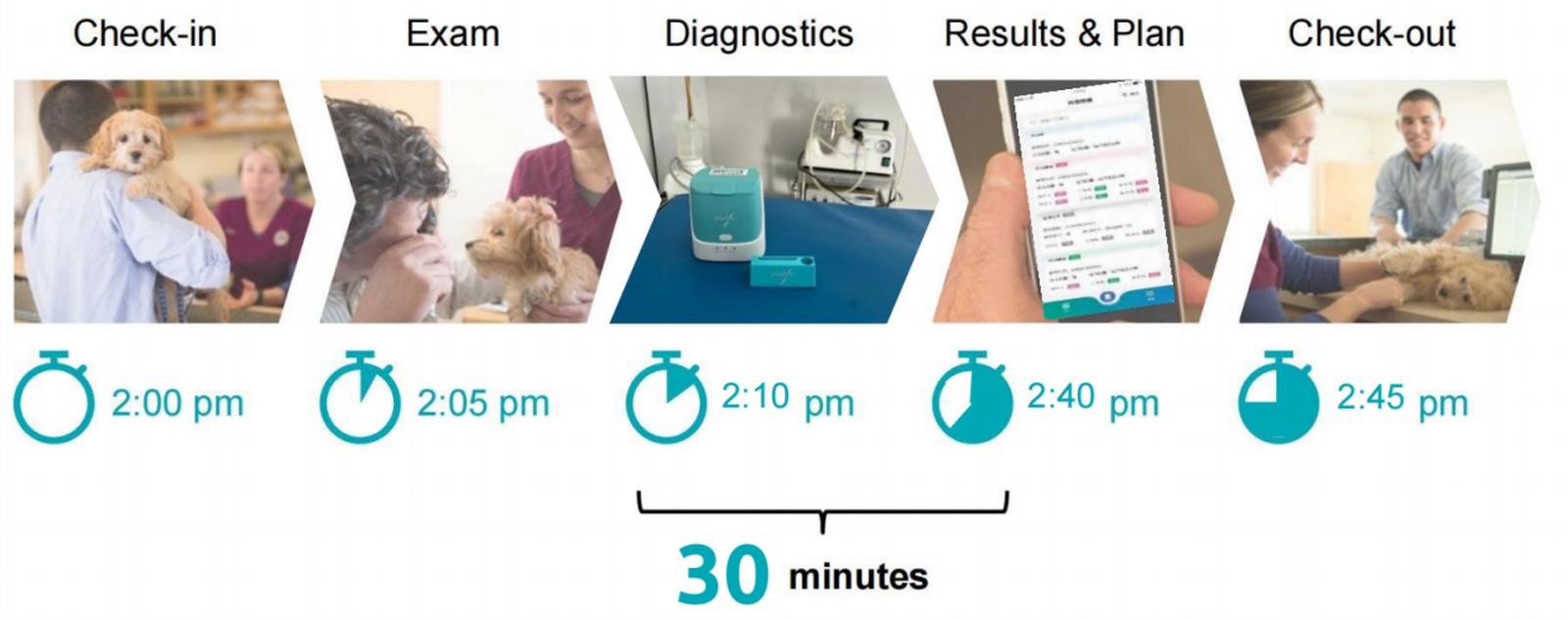 Clinic timeline: check-in 2:00pm, exam 2:05, diagnostics 2:10, results and plan 2:40, check-out 2:45