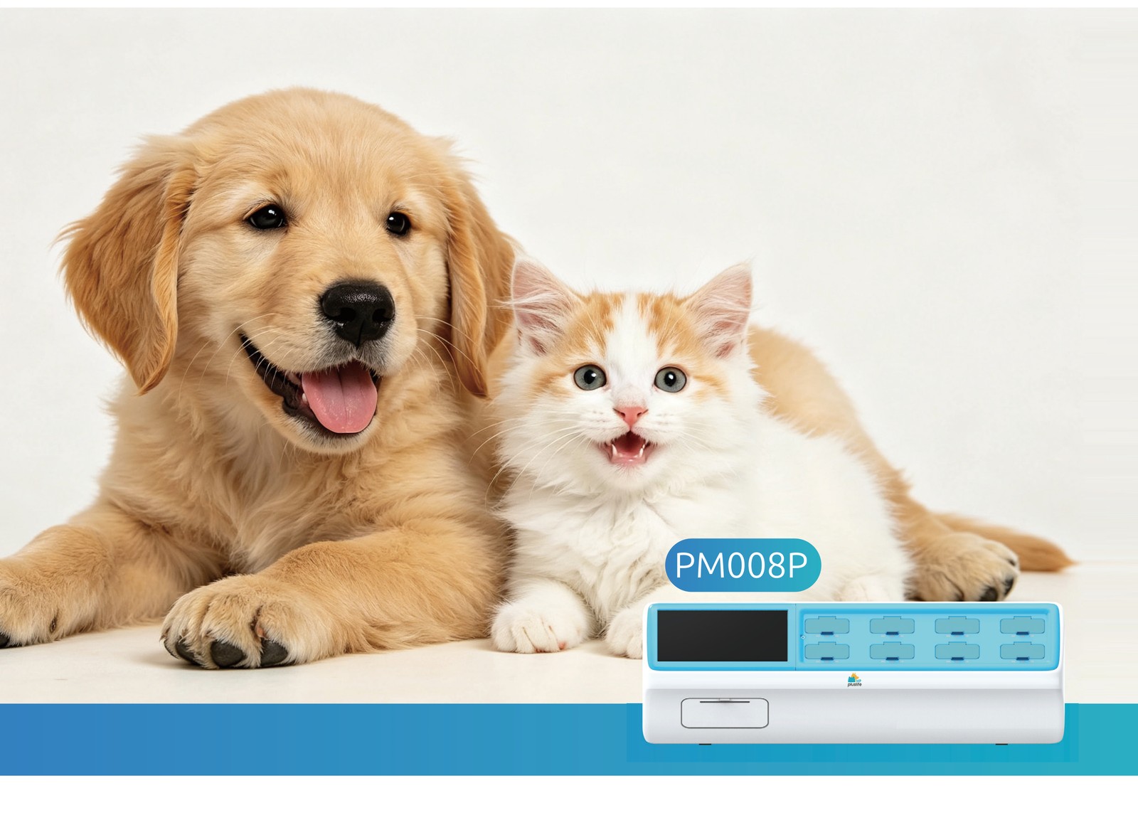 A dog and a cat beside the eight-channel molecular analyser