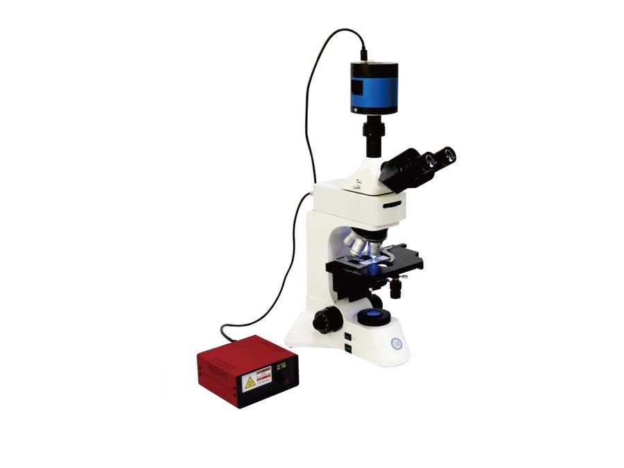 Upright fluorescent biological microscope