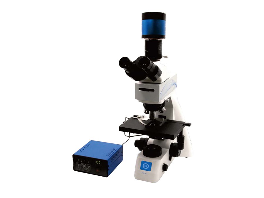 Upright biological microscope