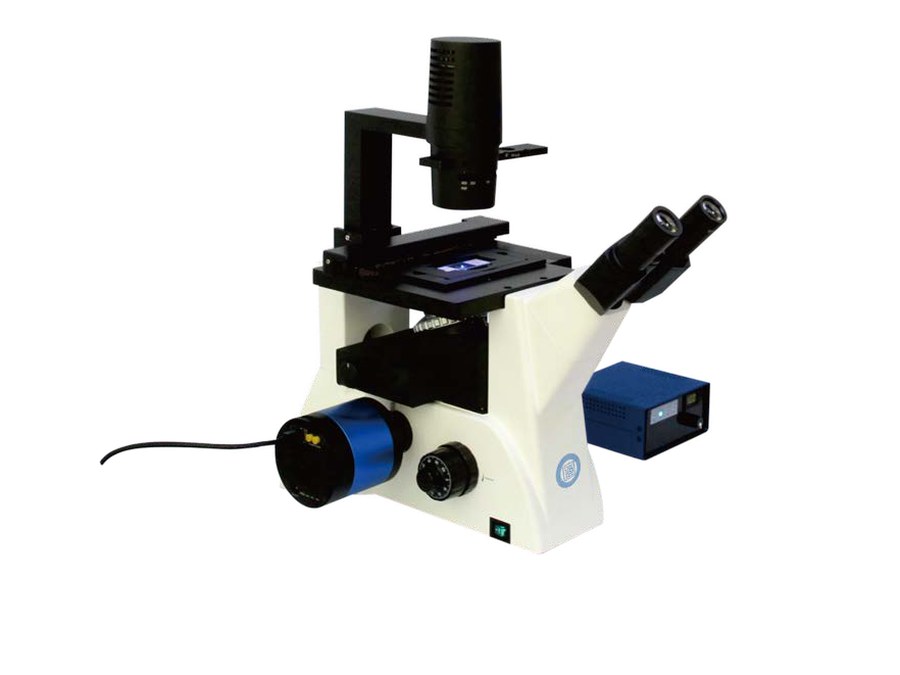 Inverted fluorescent biological microscope