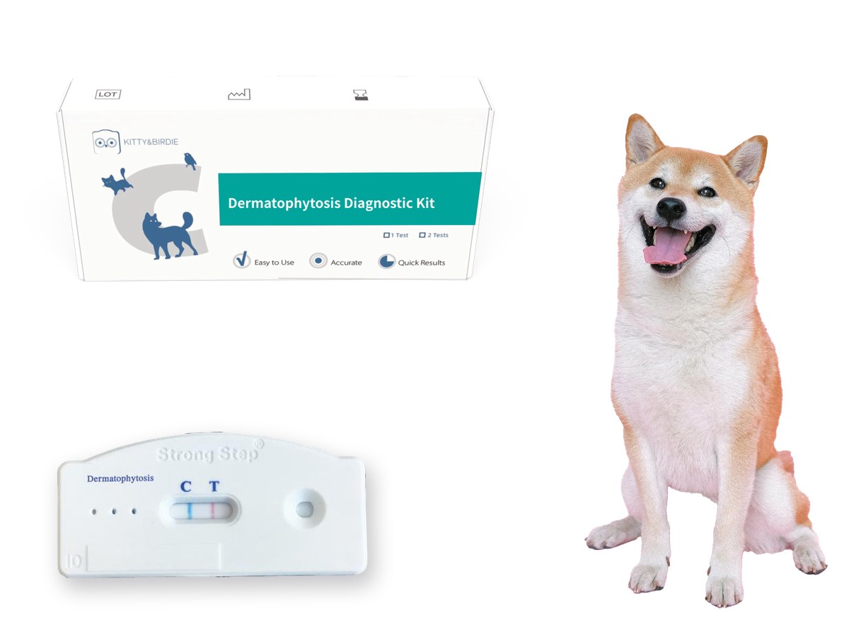 Pet Dermatophytosis Rapid Test