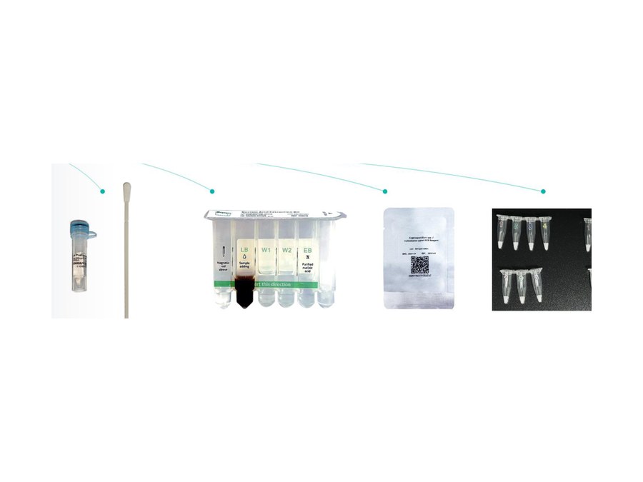 Chlamydia Real Time PCR Detection Kit