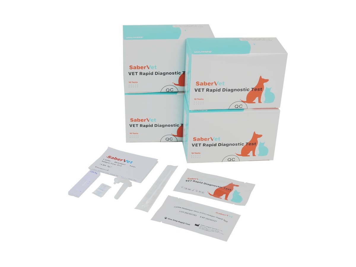 Canine C-reactive Protein Rapid Test