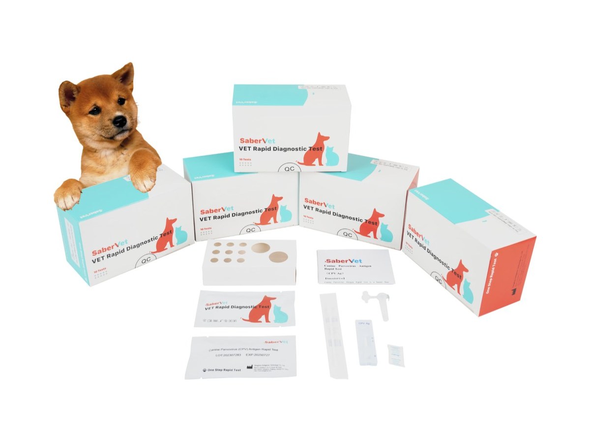 Rapid tests