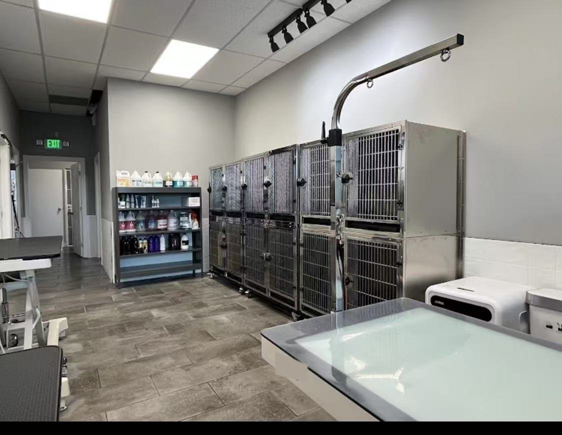 A hospital ward fitted with a stainless-steel cage bank, treatment table and bathing tub