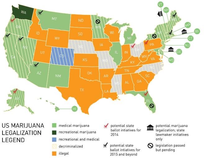 Rapid Check THC Test Kit 20 / 25 / 50ng/Ml Cut Off CE FDA Approved