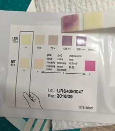 Disposable Home Urine Test Kit , Urine Infection Test Strips For Detecting Leukocytes / Nitrite